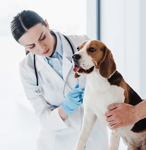 Gündoğmuş Veteriner