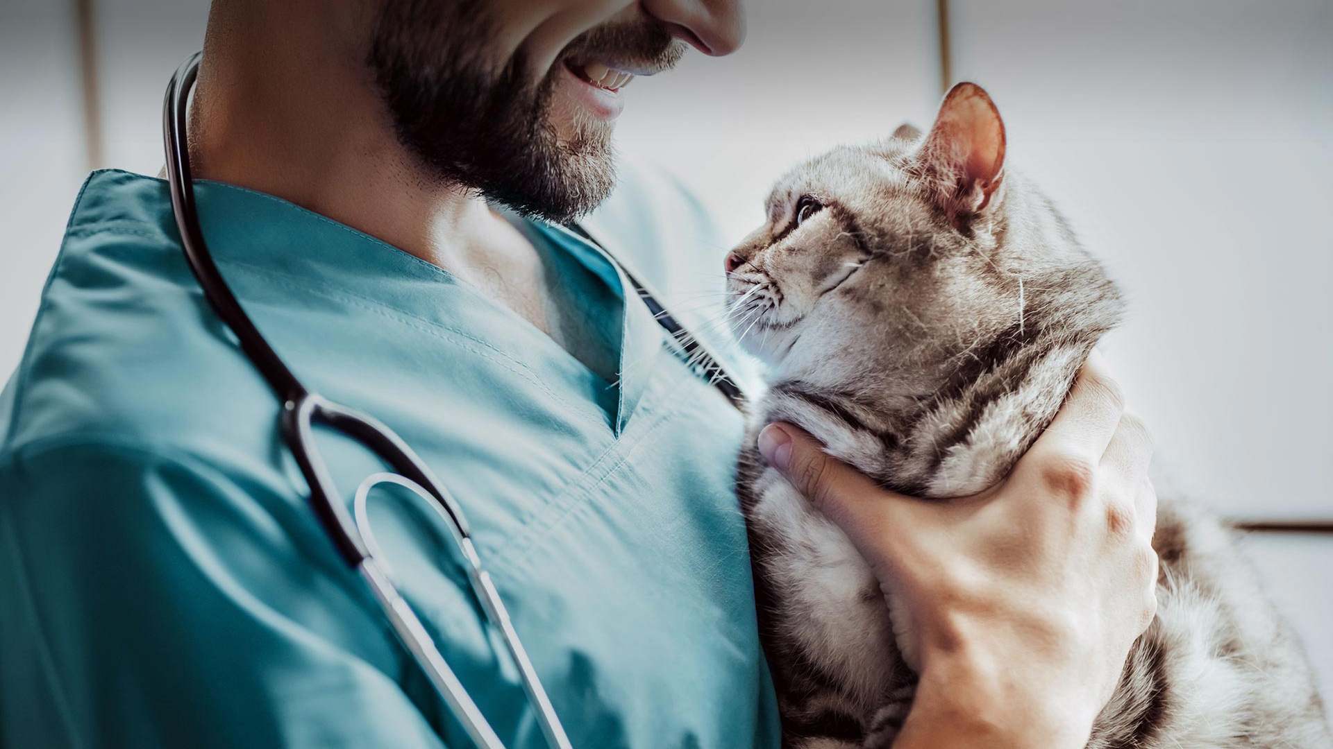 Gündoğmuş Veteriner